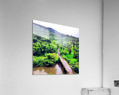 IMG_15715733999098216 4096 Acrylic Print