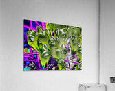  Abstract Crocus Surprise                                                                                                                     Acrylic Print