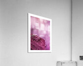 044A3951 Acrylic Print