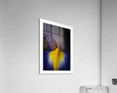 044A3858 Acrylic Print