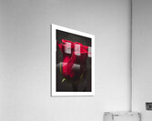 044A3906 Acrylic Print