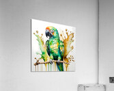 Vivid Parrot Portrait - Colorful Animal Art Acrylic Print
