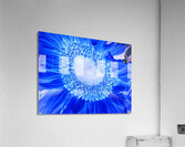 Abstract Deeper Blue Sunflower Acrylic Print
