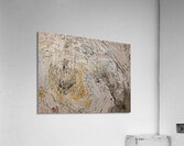 Yellow Buttercups Acrylic Print