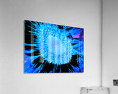 Abstract Teal Sunflower Acrylic Print