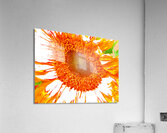 Abstract Orange Sunflower Acrylic Print
