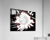 Abstract Contrasting Sunflower Acrylic Print