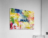 IMG 3620 Acrylic Print