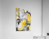 IMG 2405 Acrylic Print