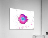 Abstract Pink Distressed Sunflower on a Pale Abstract Background Acrylic Print