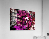 Abstract Lily Bouquet Acrylic Print