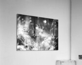  Black and White Nature Bokeh                                                                                                                   Acrylic Print