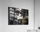  Tranquil Bokeh in the Scottish Highlands                                                                                                                      Acrylic Print