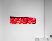 Cider Apples Acrylic Print