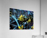  Abstract Yellow Flowers                                                                                                                     Acrylic Print