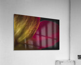 044A4105 Acrylic Print