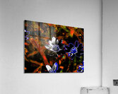  Abstract Floral Delight                                                                                                                     Acrylic Print