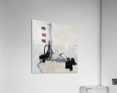 IMG 1213 Acrylic Print