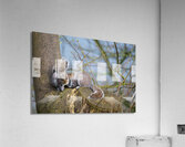 Squirrels In Love Acrylic Print