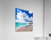 58C6F529 32DD 4167 838A A953017415B6 Acrylic Print