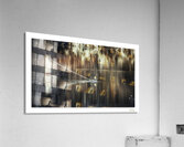 Muted Merganzer  Acrylic Print