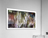 Abstract Reflections  Acrylic Print