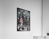 1960s Houston Cougar Slam Acrylic Print