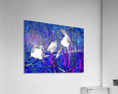 Abstract Psychedelic Daffodils                                                                                                                      Acrylic Print