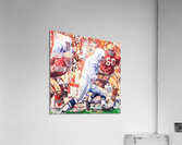 Niners Get Unitas Acrylic Print