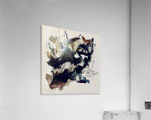 IMG 7448 Acrylic Print