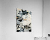 IMG 8774 Acrylic Print