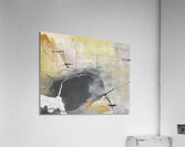 IMG 5797 Acrylic Print