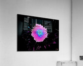 Abstract Pink and Blue Sunflower Acrylic Print