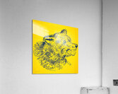 Vintage California Golden Bear Art by Eric Johnson Acrylic Print