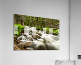 Roosevelt National Forest Stream Acrylic Print