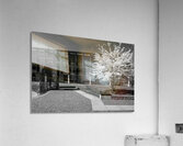 Black and White Spring Acrylic Print