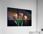 Three Tulips Acrylic Print