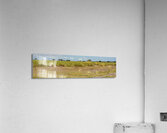 Cheetah Hunting Party Acrylic Print