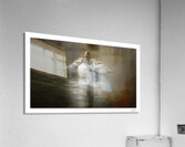 A Wigeon Gets His Wings  Acrylic Print