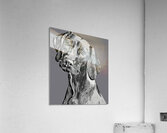 ArtX 04 dog  Acrylic Print