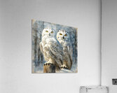 SNOWY 7 Acrylic Print