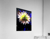 Abstract White and Yellow Flower  Acrylic Print