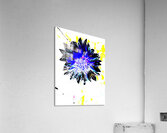  Abstract Blue and Black Flower  Acrylic Print