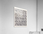 1922 New York Yankees American League Champs Acrylic Print