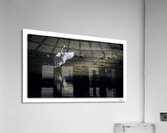 Swan Salute  Acrylic Print