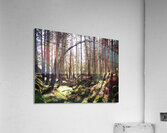   Fairy Dell in the Scottish Highlands                                                                                                                    Acrylic Print