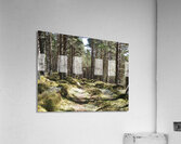 Scottish Highlands Spring Nature Walk                                                                                                                      Acrylic Print