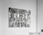  Scottish Highlands Monochrome Trees                                                                                                                    Acrylic Print