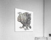 ArtX 29 eagle  Acrylic Print