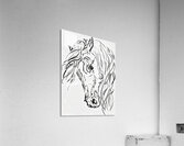 ArtX 37 Horse  Acrylic Print